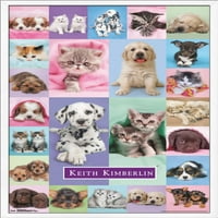 Кийт Кимбърлин-плакат за стена на кученца и котенца, 22.375 34