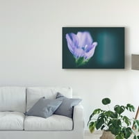Марка изящно изкуство 'макро лилаво цвете' платно изкуство от Пикси снимки