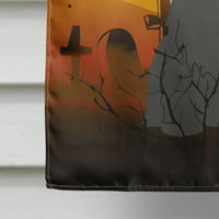 Каролини съкровища В4347ХФ Хелоуин бриар черен флаг платно къща размер голям, Многоцветен