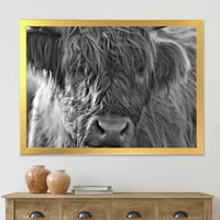 Дизайнарт 'Затвори Шотландски Планински Крави, Живеещи На Тресавище' Ферма Рамка Арт Принт