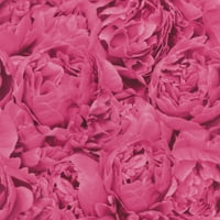 Раш Розенфилд розов цветен тапет, 20.5 - в от 33-фута, 56. кв. ФТ