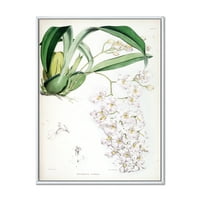 Дизайнарт 'древна бяла орхидея' традиционна рамка платно за стена арт принт