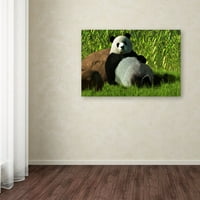 Търговска марка изобразително изкуство 'Полегнала панда' платно изкуство от Даниел Ескридж