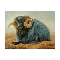 Търговска марка изобразително изкуство 'Черната овца Рам' платно изкуство от Кати Уинклър