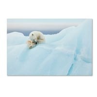 Изящно изкуство 'оформяне на полярна мечка' платно изкуство от Джоан Гил рага