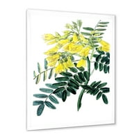 Дизайнарт' древно жълто цвете ' традиционна рамка Арт Принт
