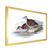Дизайнарт 'древните австралийски птици девет' традиционна рамка Арт Принт