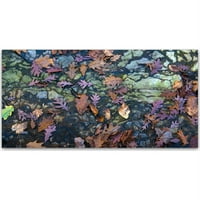 Търговска марка изобразително изкуство Есенна мозайка платно изкуство от Курт Шафър