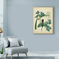 Търговска марка изящно изкуство 'Вила цветя и платно изкуство от Сиденхам Едуардс