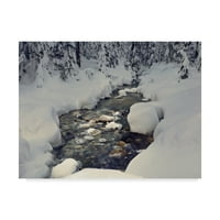 Търговски марки изобразително изкуство 'зимен поток' платно изкуство от Джейсън Матиас