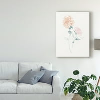 Търговска марка изобразително изкуство 'цветя на бяло и съвременно' платно изкуство от Уайлд Епъл портфолио
